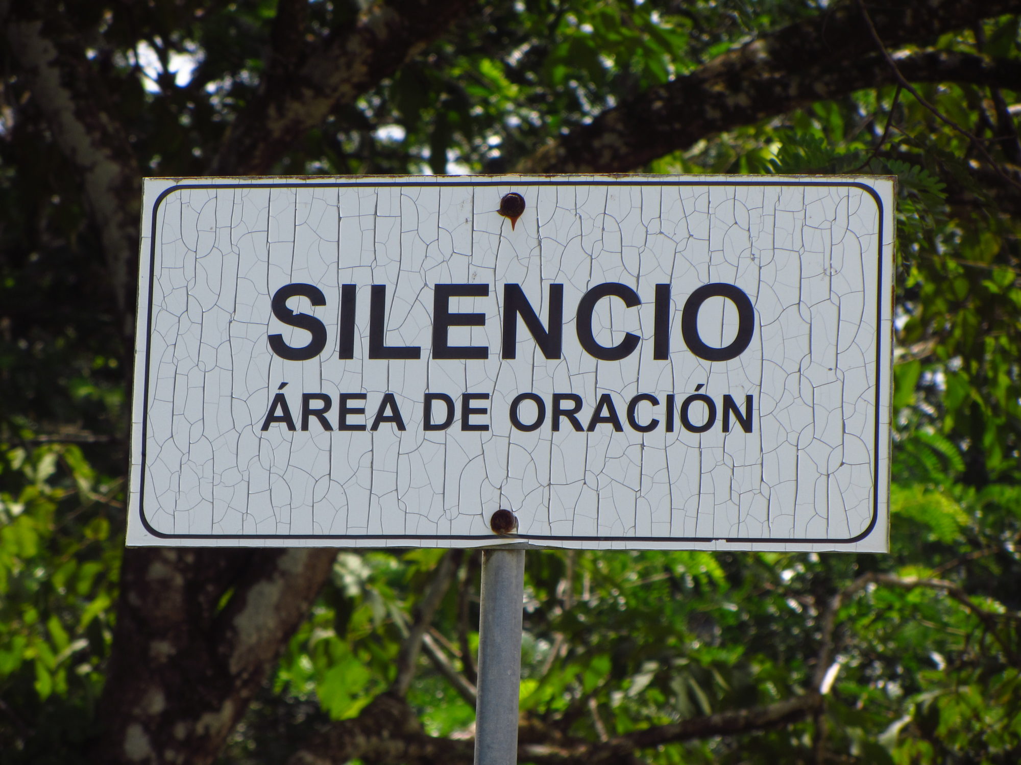 ¿Qué significa el silencio en la Liturgia? - Misioneros Digitales ...