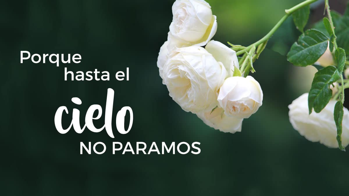 Porque hasta el cielo no paramos