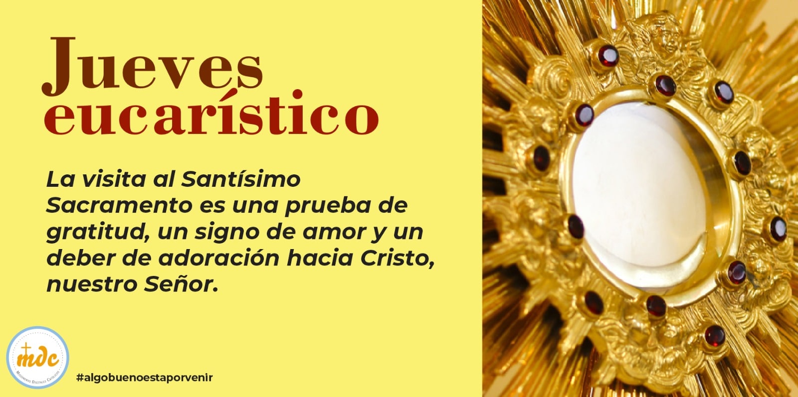 La visita al Santísimo Sacramento es una prueba de gratitud, un signo
